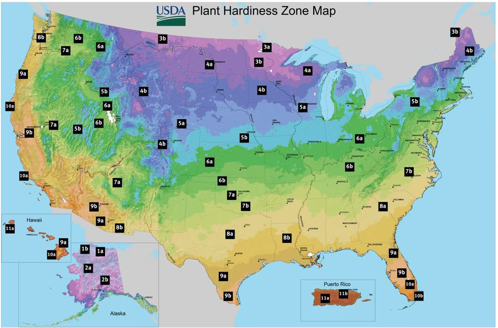Hardiness Zones in the USA